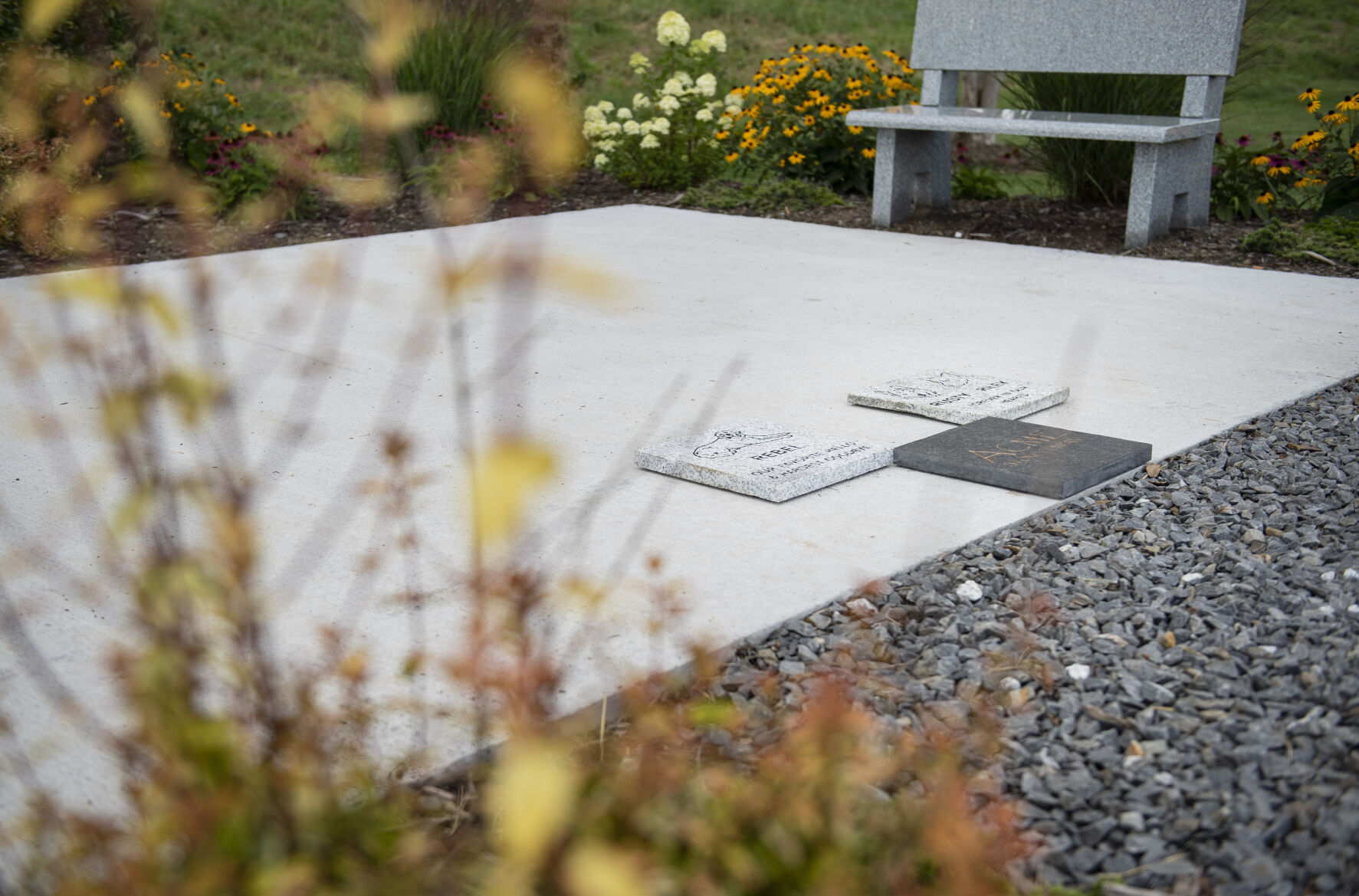 Mount Airy Rotary Pup Memorial Garden